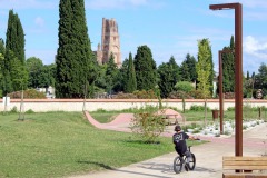 ALBI_13