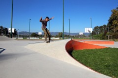 CHAPONOST_skatepark