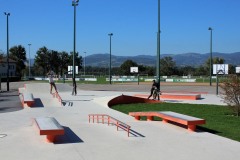 CHAPONOST_skatepark