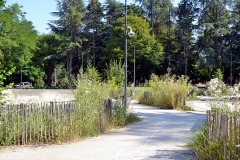 DIJON_10