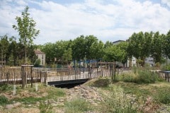 LODEVE_18