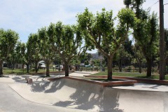 MANDELIEU LA NAPOULE skatepark