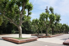 MANDELIEU LA NAPOULE skatepark