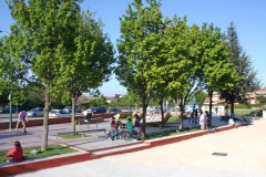 TOURNON-SUR-RHONE skatepark